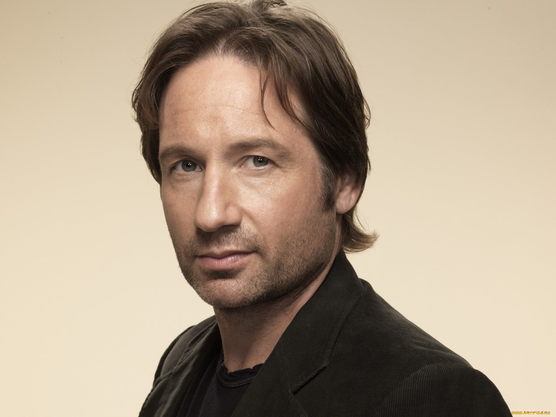 , david, duchovny, 